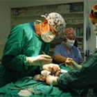 Cruciate Surgery Tibal Tuberosity Advancement